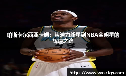 bsports官网入口